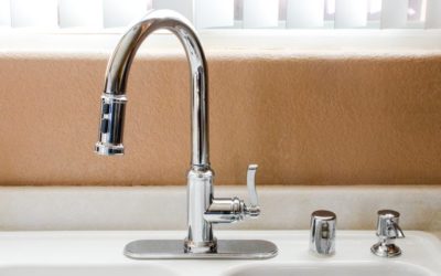 “What’s that knobby thing on top of the kitchen sink?”